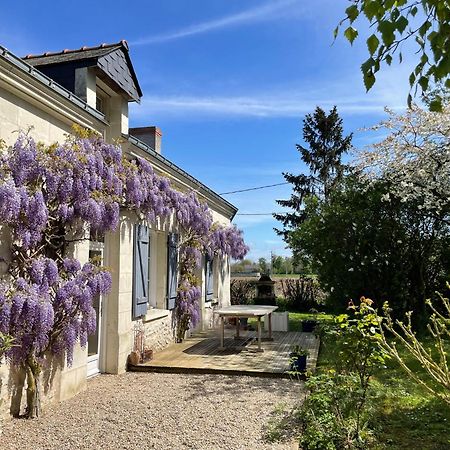 Chambres D Hotes Avec Piscine Et Spa La Foliere Saumur Villebernier エクステリア 写真