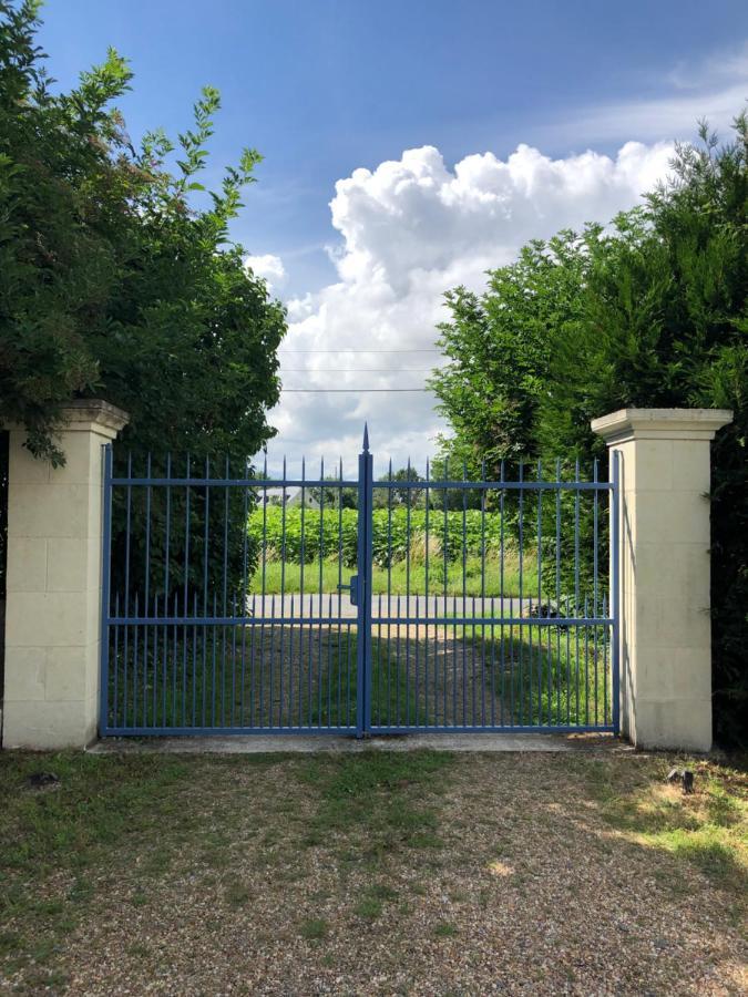 Chambres D Hotes Avec Piscine Et Spa La Foliere Saumur Villebernier エクステリア 写真