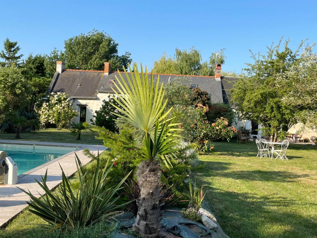Chambres D Hotes Avec Piscine Et Spa La Foliere Saumur Villebernier エクステリア 写真